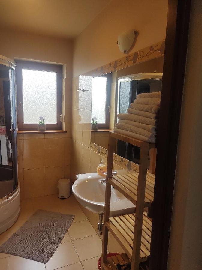 زاكوباني Apartament Z Kominkiem المظهر الخارجي الصورة